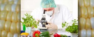 Global Agricultural Biologicals Testing Market Research CAGR of 10.20% from 2017 to 2025