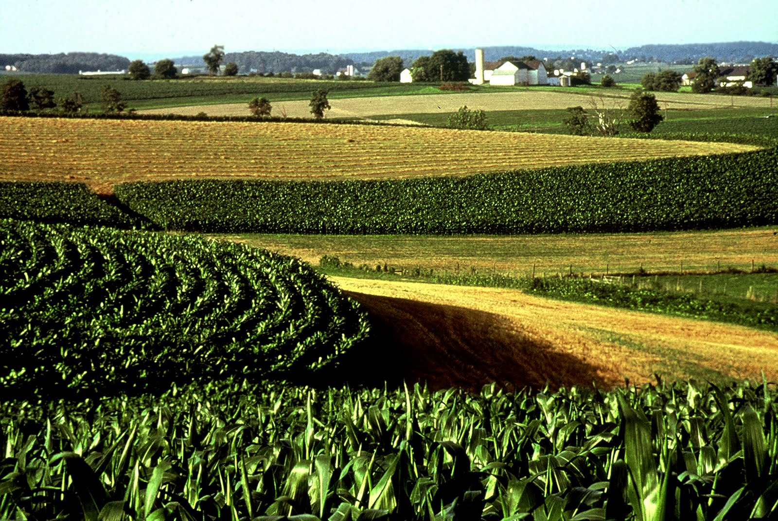 Global Agriculture Antibacterial Market Research Growth USD 13.25 billion by 2025<span class="rating-result after_title mr-filter rating-result-1379">			<span class="no-rating-results-text">No ratings yet.</span>		</span>