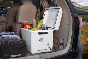 Compressor Type Car Refrigerator Market to Grow at CAGR of 11.9% through 2023 by Planet Market Reports