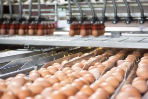 Egg Processing Market Worth 33.97 Billion By 2025 | Global CAGR: 11.35%