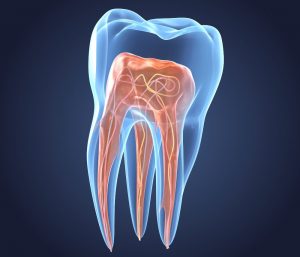 Global Endodontics Market Research growing at a CAGR of 4.8% from 2017 to 2025