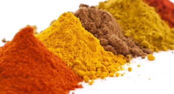 Feed Pigment Market Set to Witness Significant Growth in the Coming Years