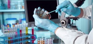 Microbiological Testing Market with Global Research and Forecast Analysis Report, 2018-2025