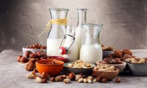 Milk Substitute Market Trends, 2017-2025