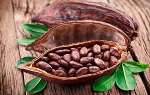 Organic Cocoa Market Worth 390 Million By 2023 | CAGR 10.2%