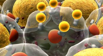 Cell Culture Market – Global at a CAGR of 10.43% from 2017 to 2025