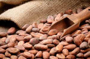 Cocoa Beans Market Trends with Global Estimated Sales Report, 2016-2024
