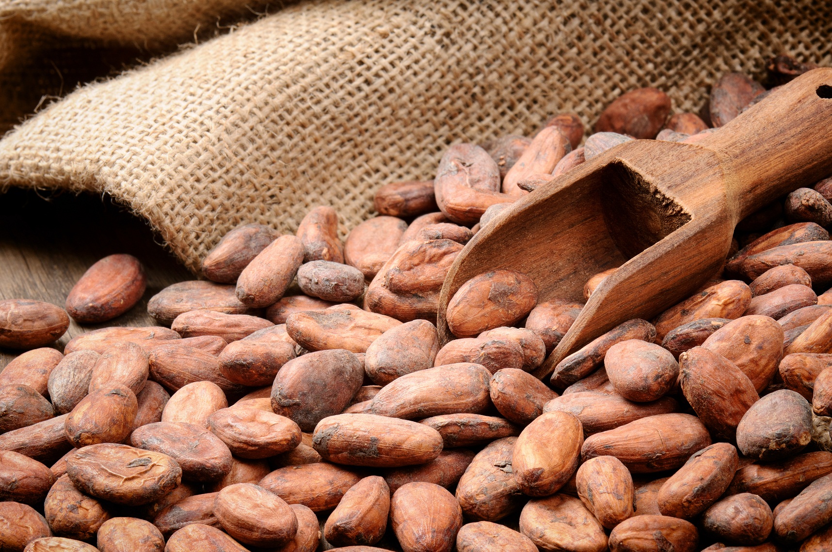 Cocoa Beans Market Trends with Global Estimated Sales Report, 2016-2024<span class="rating-result after_title mr-filter rating-result-4644">			<span class="no-rating-results-text">No ratings yet.</span>		</span>