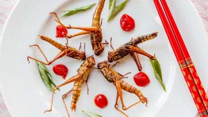 Edible Insects Market Worth 476.80 Million USD By 2023 | CAGR 43.20%