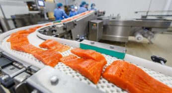 Fish Processing Consumption Market by Types, Applications and Forecast 2018-2023
