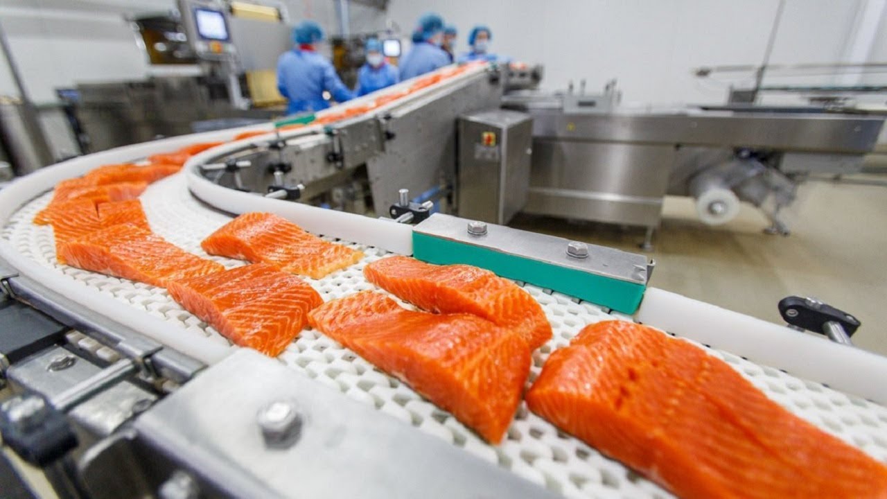 Fish Processing Consumption Market by Types, Applications and Forecast 2018-2023<span class="rating-result after_title mr-filter rating-result-3639">			<span class="no-rating-results-text">No ratings yet.</span>		</span>