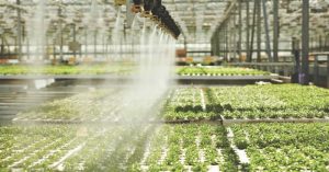 Global Greenhouse irrigation systems Market By Regions, Type And Application, Forecast 2025