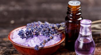 Lavender Essential Oil Market By Form And Application with Global Industry Analysis And Forecast To 2023