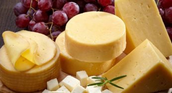 Mozzarella Cheese Market Worth 13800 Million USD By 2023 | CAGR 5.3%