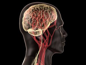 Global Neurovascular Devices Market growth rate CAGR of 6.43% during the forecast period 2018 – 2023