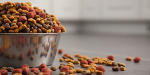 Pet Food market to reach 85.4 billion USD with 5.65% of CAGR by 2024 Globally