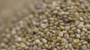 Quinoa Seeds Market : Industry Demand, Insight & Forecast By 2023