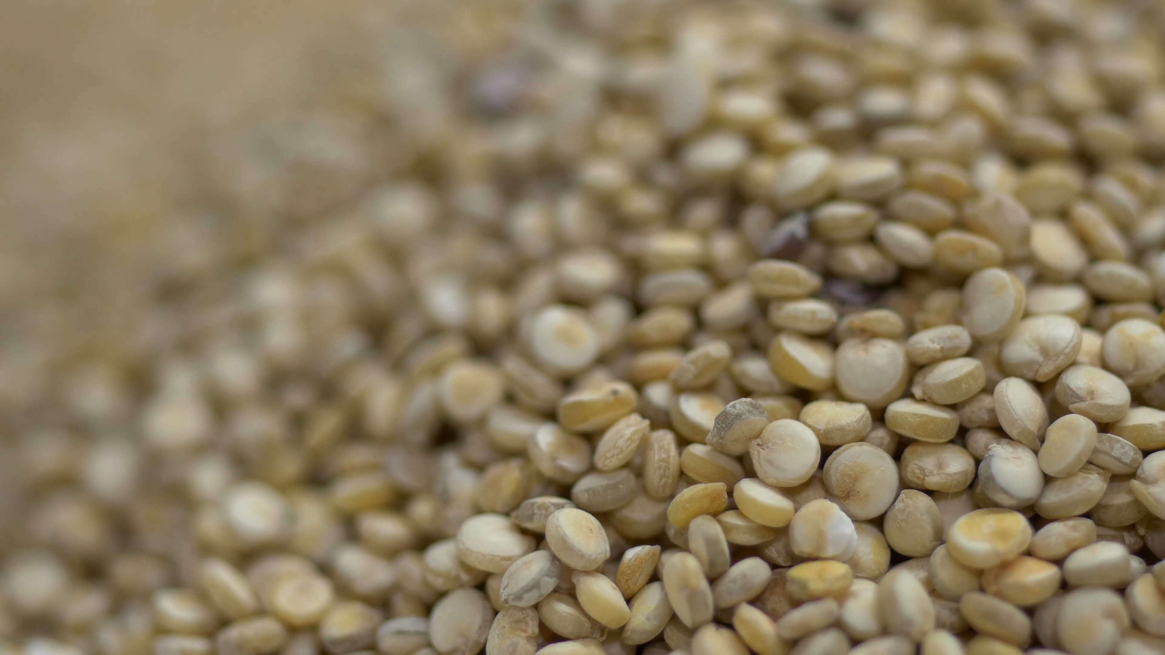 Quinoa Seeds Market : Industry Demand, Insight & Forecast By 2023<span class="rating-result after_title mr-filter rating-result-4729">			<span class="no-rating-results-text">No ratings yet.</span>		</span>