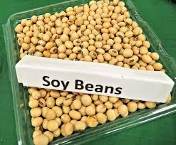 Soy Protein Ingredients Market