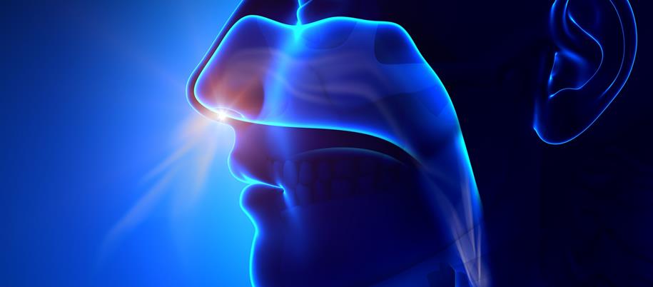 Nephrostomy Devices Market: Global Analysis And Opportunity Assessment 2018- 2025<span class="rating-result after_title mr-filter rating-result-6066">			<span class="no-rating-results-text">No ratings yet.</span>		</span>