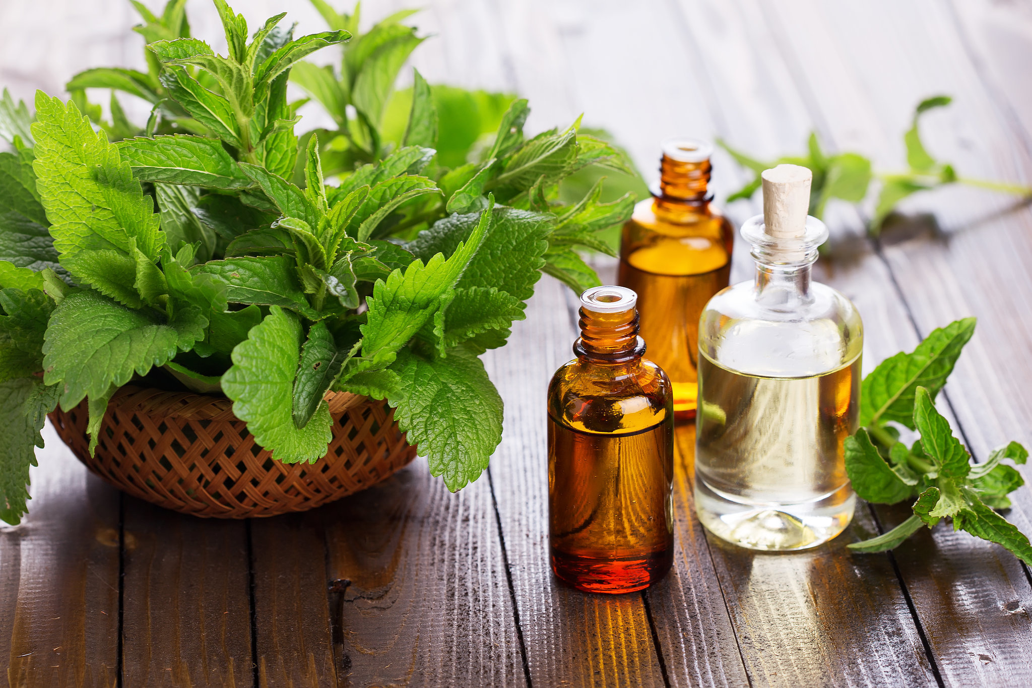 Peppermint Oil Market – Global Outlook and Growth by 2025<span class="rating-result after_title mr-filter rating-result-6403">			<span class="no-rating-results-text">No ratings yet.</span>		</span>