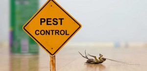 <span class="entry-title-primary">Pest Control Market Industry Analysis, Size, Share Forecast, 2018-2025</span> <span class="entry-subtitle">Pest Control Market Research | 2018-2025</span>