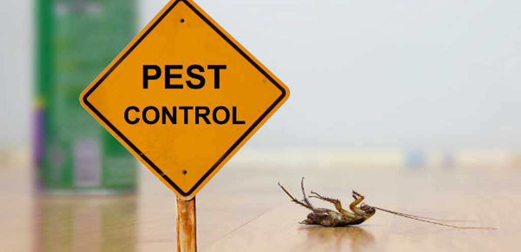 <span class="entry-title-primary">Pest Control Market Industry Analysis, Size, Share Forecast, 2018-2025</span> <span class="entry-subtitle">Pest Control Market Research | 2018-2025</span><span class="rating-result after_title mr-filter rating-result-6830">			<span class="no-rating-results-text">No ratings yet.</span>		</span>