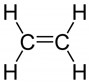 <span class="entry-title-primary">Ethylene Market Size, Share, Industry Analysis Report, 2025</span> <span class="entry-subtitle">Ethylene Market Size, Share, Industry Analysis Report</span>