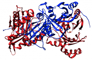 <span class="entry-title-primary">Global Proteomics Market growing at a CAGR of 11.68% from 2017 to 2025</span> <span class="entry-subtitle">Global Proteomics Market skillful Survey Report 2019</span>