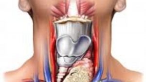 <span class="entry-title-primary">Anaplastic Thyroid Cancer Treatment Market Growth Factors, Applications, Regional Analysis, Key Players and Forecasts by 2024</span> <span class="entry-subtitle">Global Anaplastic Thyroid Cancer </span>