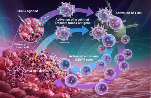 <span class="entry-title-primary">Anti-Inflammatory Peptides Market Analysis, Growth by Top Companies, Trends by Types and Application, Forecast to 2023</span> <span class="entry-subtitle">Anti-Inflammatory Peptides Market Size- Forecast Research Report</span>