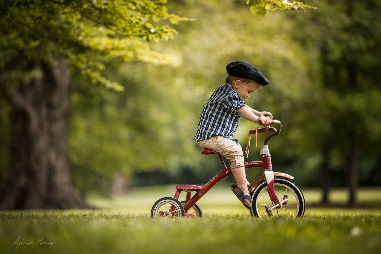 Children Bicycle Market – Drivers and Forecasts by Planet Market Reports<span class="rating-result after_title mr-filter rating-result-9124">			<span class="no-rating-results-text">No ratings yet.</span>		</span>