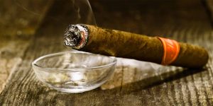 Cigar Market Trends, Size, Share, Growth, Analysis