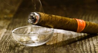 Cigar Market Trends, Size, Share, Growth, Analysis
