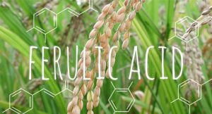 <span class="entry-title-primary">Ferulic Acid Market Size to rise at 6.1% of CAGR by 2024 Globally</span> <span class="entry-subtitle">Ferulic Acid Market Report</span>