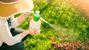 <span class="entry-title-primary">Garden Pesticides 2019 Global Share, Trend And Opportunities Forecast To 2024</span> <span class="entry-subtitle">Garden Pesticides share, size, growth analysis, Market forecast and industry analysis to 2024</span>