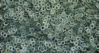 Lock Washer Market Size | Types | Top Manufacturers | Trends and Forecast by 2024