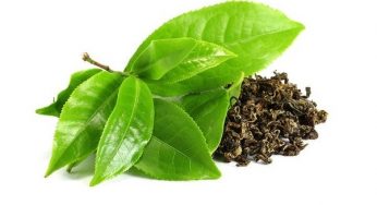 Plant Extracts Market Analysis, Key Manufacturers, Sales, Demand and Forecasts 2024
