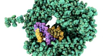 Global Reverse Transcriptase Market: Global Analysis by Sales, Price, Revenue and Share -2023 -Planet Market Reports