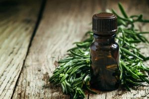 <span class="entry-title-primary">Tea Tree Oil Market Reflecting CAGR of 5.4% by 2024 Worldwide</span> <span class="entry-subtitle">Tea Tree Oil Market Report, 2019-2024</span>