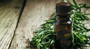 Tea Tree Oil Market Reflecting CAGR of 5.4% by 2024 Worldwide