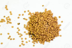 <span class="entry-title-primary">Tomato Seeds Market will Exhibit a Steady 6.1% CAGR by 2024</span> <span class="entry-subtitle">Tomato Seeds Market Report, 2019-2024</span>