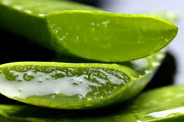 <span class="entry-title-primary">Aloe Vera Extract Market 2019 | Global Market Size, Share, Supply, Demand, Segments and Forecast 2024</span> <span class="entry-subtitle">Global  Aloe Vera Extract  Research Report 2019</span><span class="rating-result after_title mr-filter rating-result-12141">	<span class="mr-star-rating">			    <i class="fa fa-star mr-star-full"></i>	    	    <i class="fa fa-star mr-star-full"></i>	    	    <i class="fa fa-star mr-star-full"></i>	    	    <i class="fa fa-star mr-star-full"></i>	    	    <i class="fa fa-star mr-star-full"></i>	    </span><span class="star-result">	5/5</span>			<span class="count">				(1)			</span>			</span>