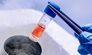 <span class="entry-title-primary">Cryopreservation Media Market Analysis, Industry Outlook and Growth with Forecast by 2024</span> <span class="entry-subtitle">Cryopreservation Media Industry Report Analysis</span>