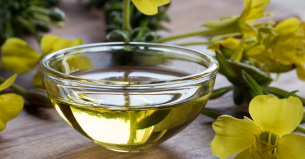 <span class="entry-title-primary">Global Evening Primrose Oil Market 2019 Overview And Analysis about Manufacturing Cost Structure: Industry Forecast Report</span> <span class="entry-subtitle">Global Evening Primrose Oil Market Research </span><span class="rating-result after_title mr-filter rating-result-11073">	<span class="mr-star-rating">			    <i class="fa fa-star mr-star-full"></i>	    	    <i class="fa fa-star mr-star-full"></i>	    	    <i class="fa fa-star mr-star-full"></i>	    	    <i class="fa fa-star mr-star-full"></i>	    	    <i class="fa fa-star mr-star-full"></i>	    </span><span class="star-result">	5/5</span>			<span class="count">				(1)			</span>			</span>