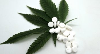 Fast-disintegrating Tablets Market 2019 | Global Industry Size, Demand, Growth Analysis, Share, Revenue and Forecast 2024