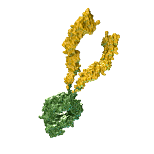 <span class="entry-title-primary">Global Fc Fusion Protein Market | Industry Trends, Regulations And Competitive Landscape Outlook To 2025</span> <span class="entry-subtitle">Global Fc Fusion Protein Market Growth Analysis and Forecast To 2025</span>