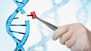 <span class="entry-title-primary">Gene Therapy Market Report Segmented by Application, Region, Key Players and Porters Five Forces Analysis</span> <span class="entry-subtitle">Gene Therapy Market Scope and Market Expected 2018-2023</span>