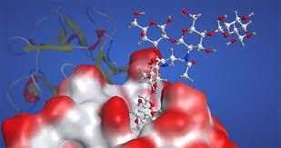 <span class="entry-title-primary">Glycobiology Market Forecast To 2023 With Global Key Companies Profile, Supply, Demand, Cost Structure</span> <span class="entry-subtitle">Glycobiology Market Scope and Market Expected 2018-2023</span><span class="rating-result after_title mr-filter rating-result-10445">	<span class="mr-star-rating">			    <i class="fa fa-star mr-star-full"></i>	    	    <i class="fa fa-star mr-star-full"></i>	    	    <i class="fa fa-star mr-star-full"></i>	    	    <i class="fa fa-star mr-star-full"></i>	    	    <i class="fa fa-star mr-star-full"></i>	    </span><span class="star-result">	5/5</span>			<span class="count">				(1)			</span>			</span>