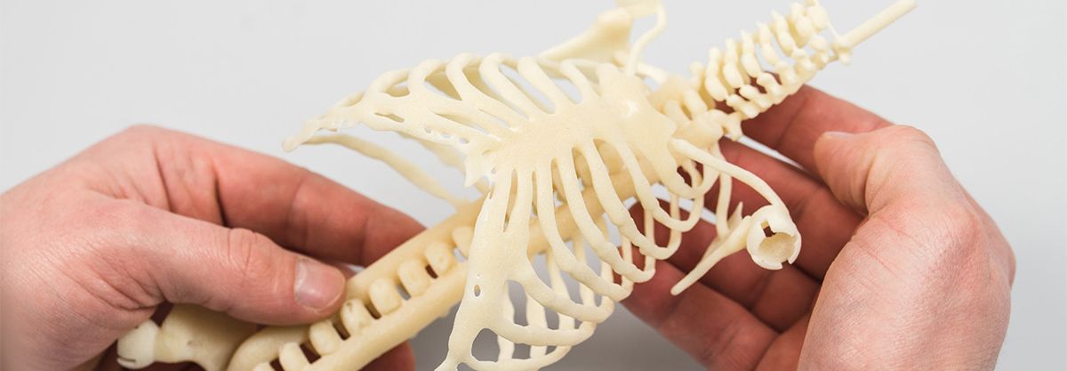 <span class="entry-title-primary">Global Healthcare 3D Printing Market Size, Share, Growth, Trend and Forecast – 2024</span> <span class="entry-subtitle">Healthcare 3D printing Market</span><span class="rating-result after_title mr-filter rating-result-11044">	<span class="mr-star-rating">			    <i class="fa fa-star mr-star-full"></i>	    	    <i class="fa fa-star mr-star-full"></i>	    	    <i class="fa fa-star mr-star-full"></i>	    	    <i class="fa fa-star mr-star-full"></i>	    	    <i class="fa fa-star mr-star-full"></i>	    </span><span class="star-result">	5/5</span>			<span class="count">				(1)			</span>			</span>